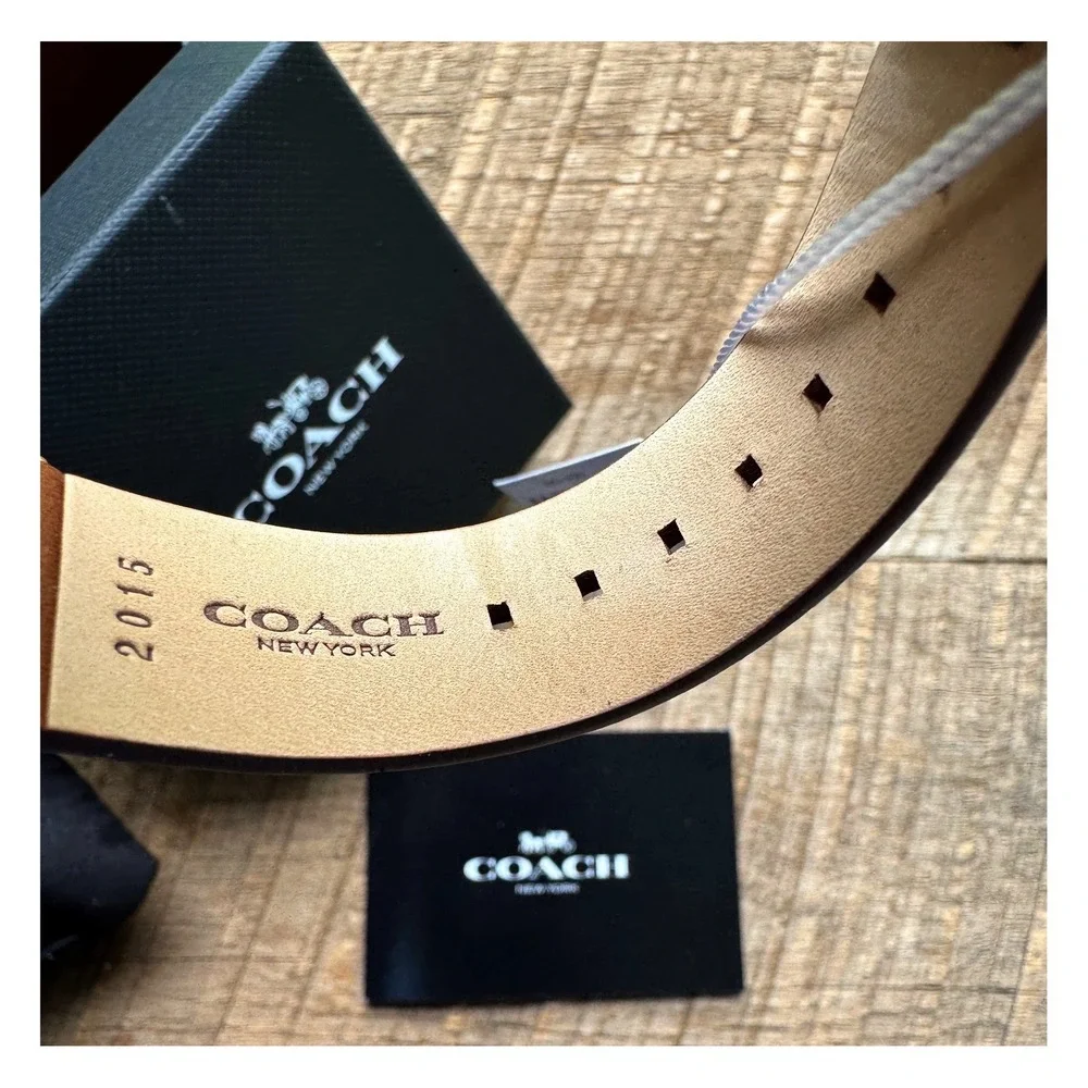 Coach Charles Gold Dial Watch with a Brown Leather Strap (Model 14602433)